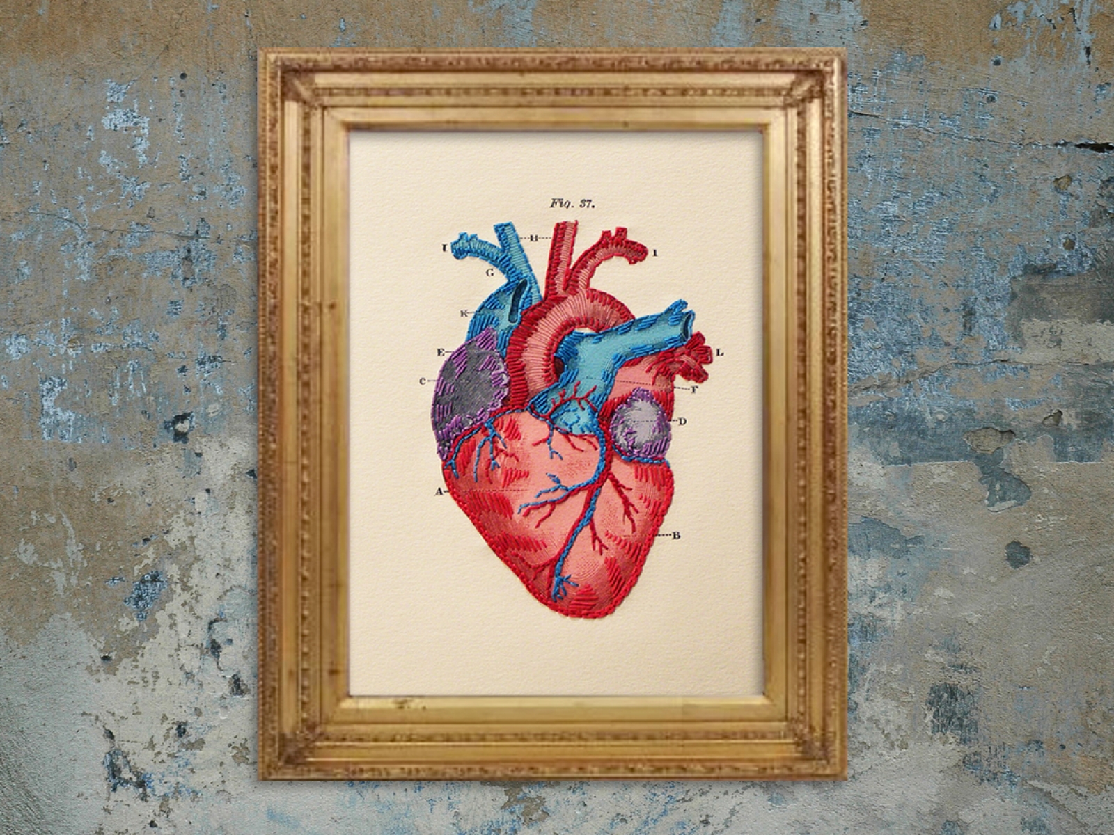 Anatomical Heart. 