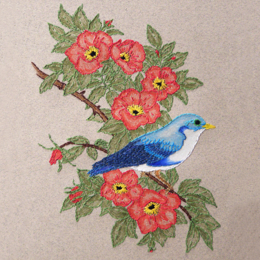 Little Blue Bird on Wild Roses