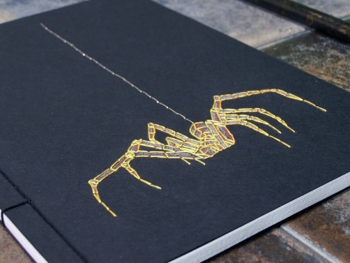 Spider