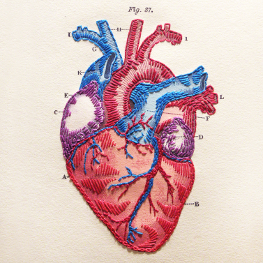 heart