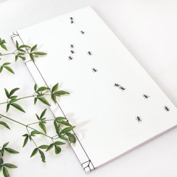 Ants Journal
