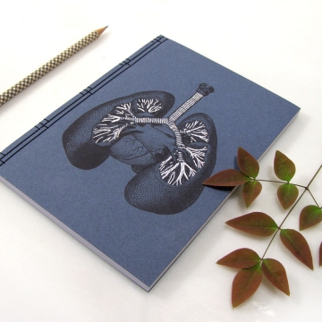 Lungs Anatomy Journal