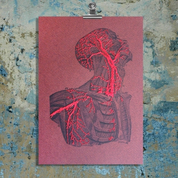 Torso & Head Anatomy. Paper Embroidery