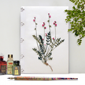 Sainfoin. Botanical Journal