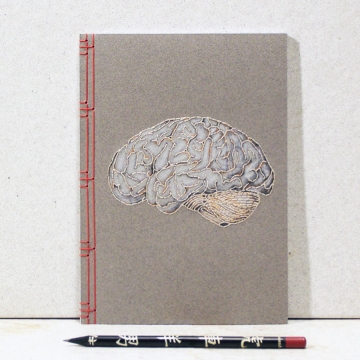 Brain Anatomy Journal