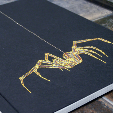 Spider