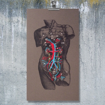 Dissection of a Male Torso. Paper Embroidery