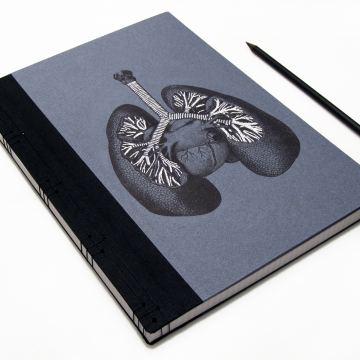 Lungs Anatomy Book Lungs Anatomy Book