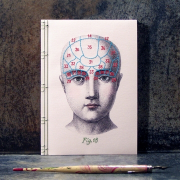 Phrenology Journal