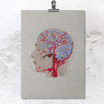 Brain Anatomy Art. Veins and Arteries of the Head