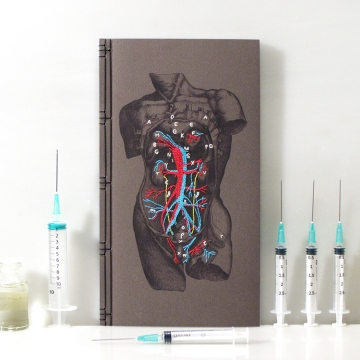 Dissection of a Male Torso Journal
