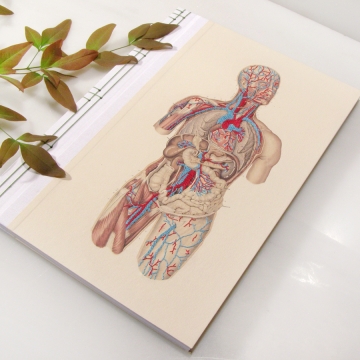 Circulatory System of the Human Body Book
