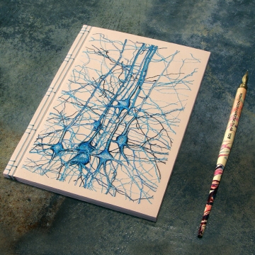 Neurons Journal. Study No1