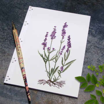 Lavender. Botanical Journal Lavender. Botanical Journal