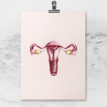 Uterus and Ovaries. Embroidered Anatomy