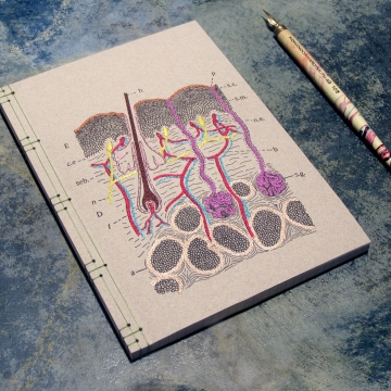 Skin Layers Journal Skin Layers Journal