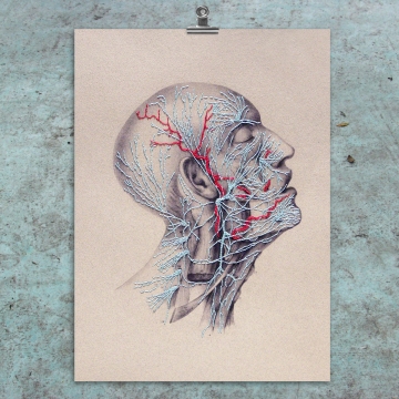 Nerves. Anatomical Paper Embroidery
